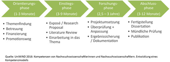 Schaubild mit Phasen der Promotion