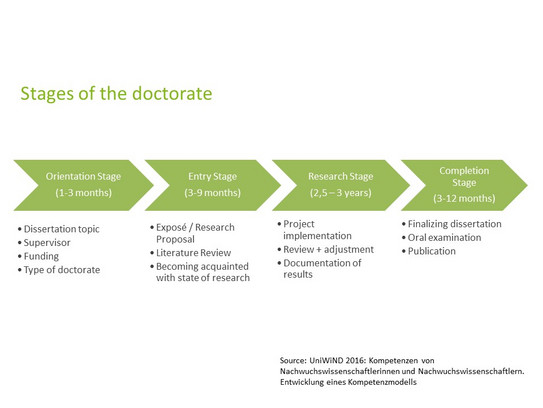 Chart with stages of the doctorate